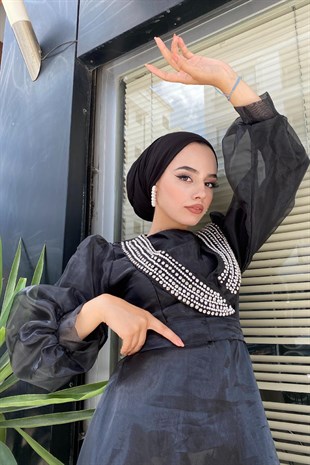 Yakası Taş İşlemeli Organze Abiye Siyah