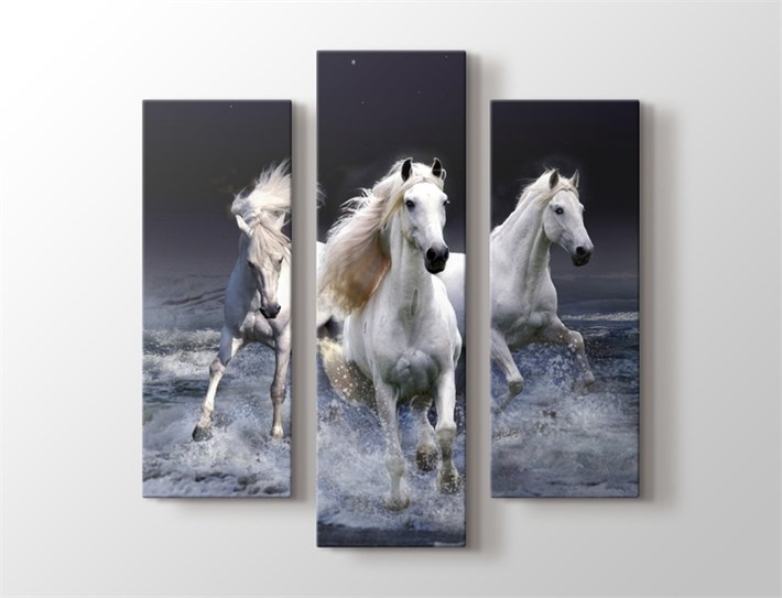 3 Parça Atlı Kanvas Tablo