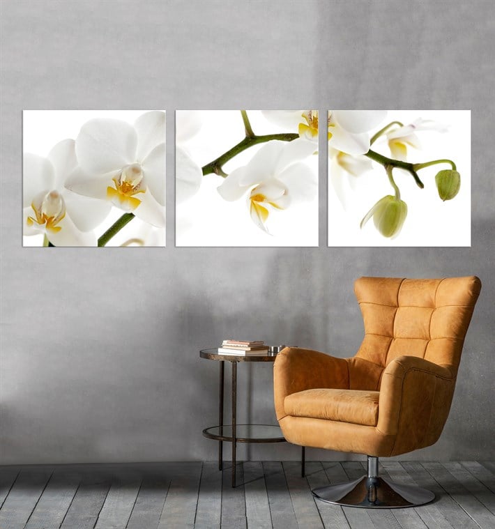 3 Parça Orkide Çiçekli Kanvas Tablo