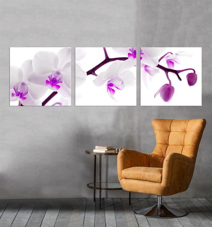 3 Parça Orkide Çiçekli Pembe Kanvas Tablo