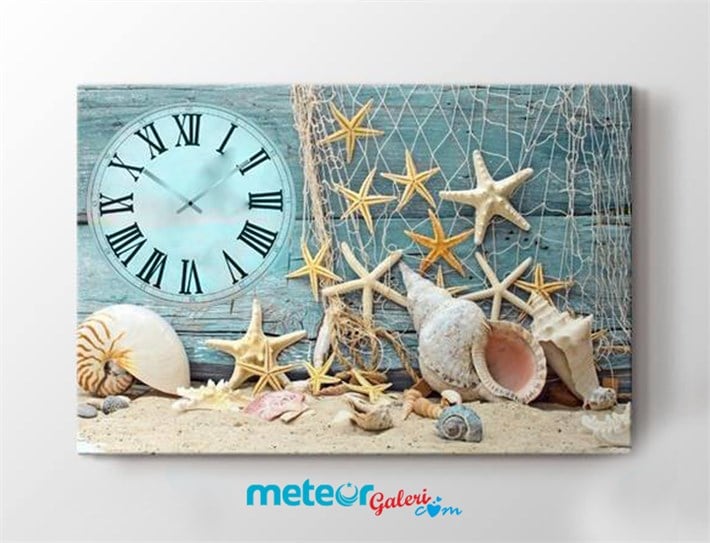 Saatli Deniz Yıldızı ve Kabukları