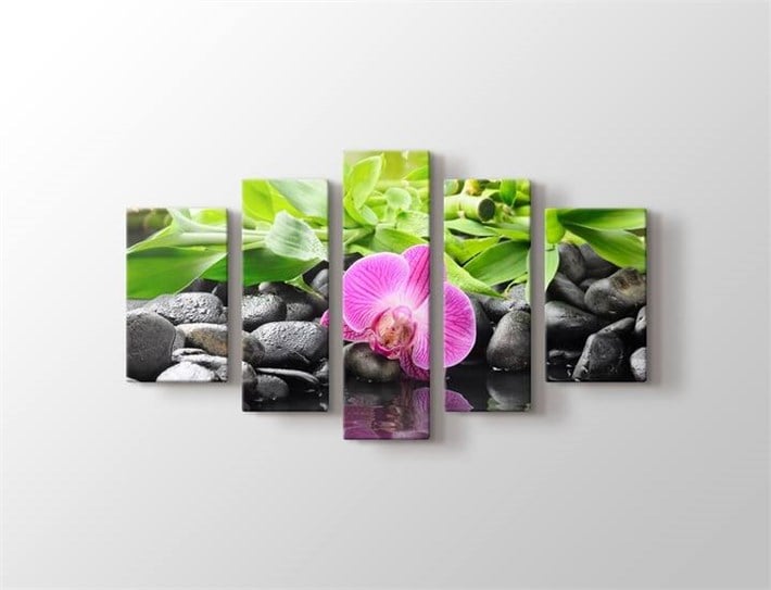Pembe Orkide Spa Taşlı 5 Parça Kanvas Tablo