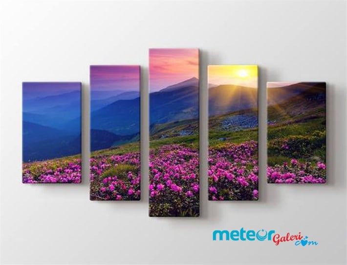 Dağ Yamacı Pembe Çiçekler ve Gün Batımı