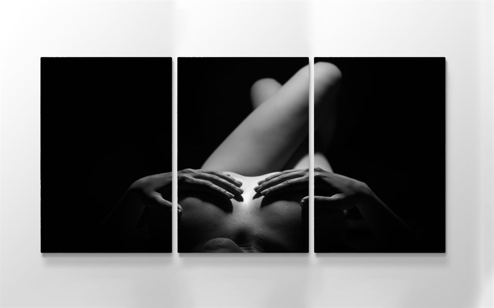 Nü Temalı Kadın Kanvas Tablo