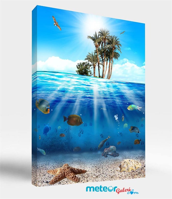 Deniz Altında Balıklar ve Deniz Yıldızı