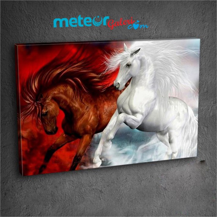 Şahlanan Al ve Ak Atlar Tek Parça Kanvas Tablo