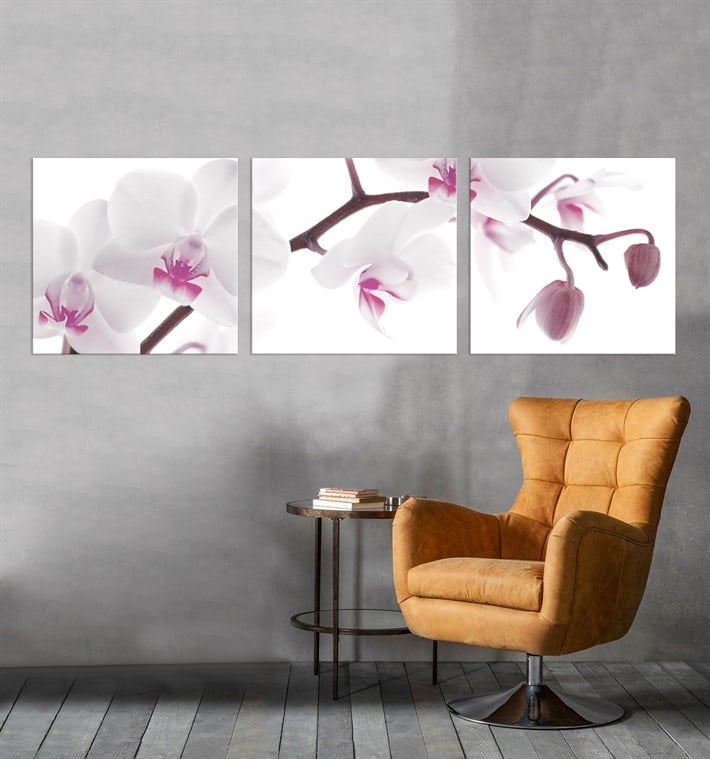 3 Parça Orkide Çiçekli Pudra Bebe Pembesi Açık Kanvas Tablo