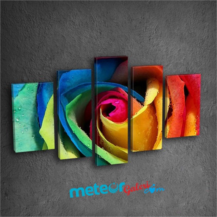 Rengarenk Gül ve Üzerinde Su Damlaları