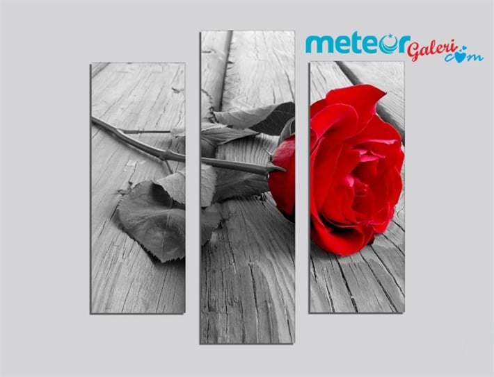 Kırmızı Güllü Gri Zeminli Romantik Kanvas Tablo