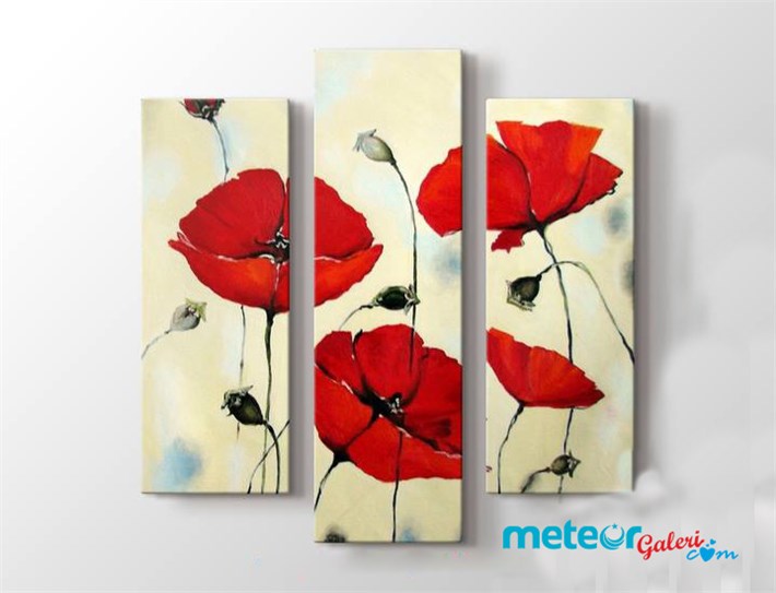Kırmızı Gelincikli 3 Parça Kanvas Tablo