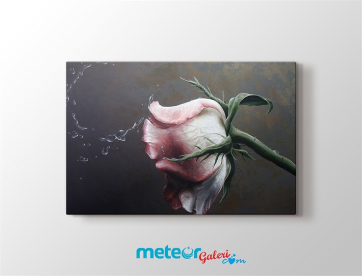 Su Damlalı Açık Pembe Gül Tek Parça Kanvas Tablo