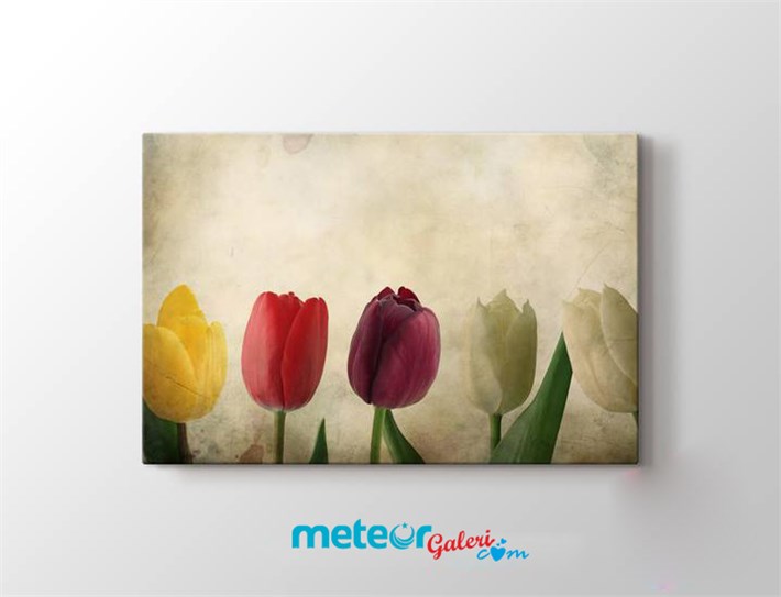 Tek Parça Renkli Romantik Laleler Kanvas Tablo