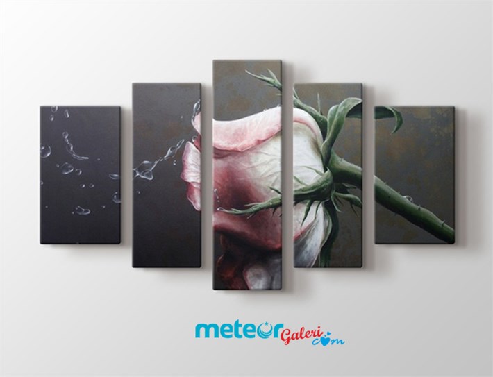 Su Damlalı Açık Pembe Gül Kanvas Tablo