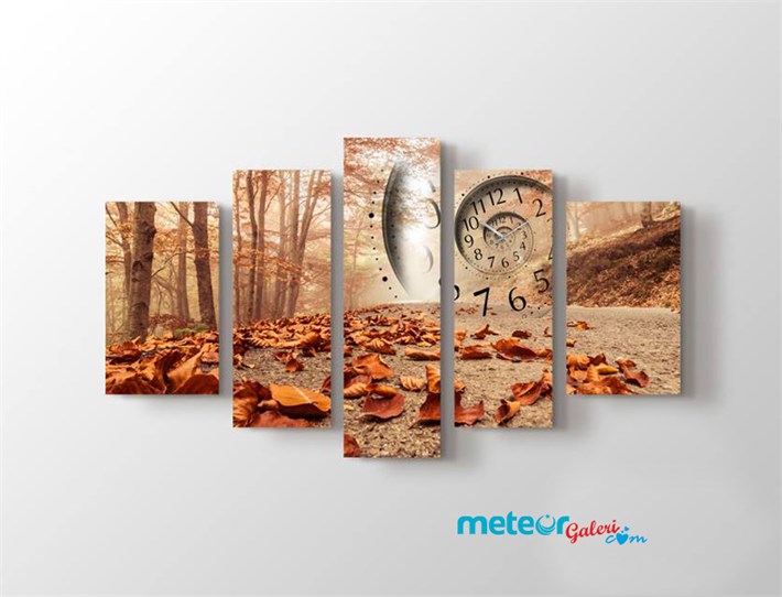 Sonbahar Zamanı Yerlere Dökülen Yapraklar