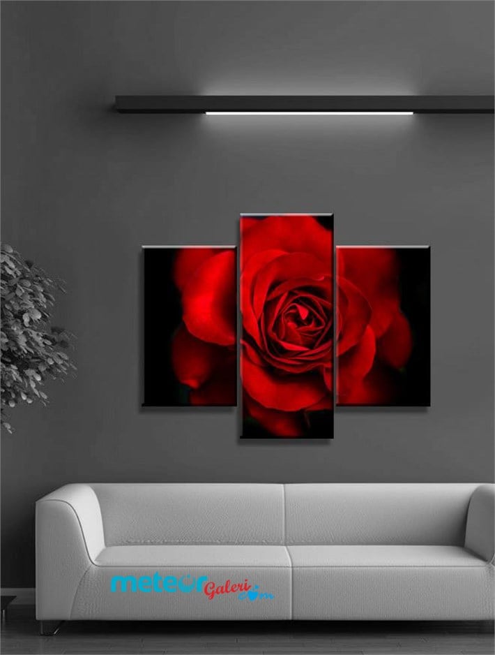 Kırmızı Gül Kanvas Tablo