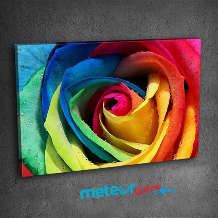 Rengarenk Gül ve Üzerinde Su Damlaları Tek Parça Kanvas Tablo