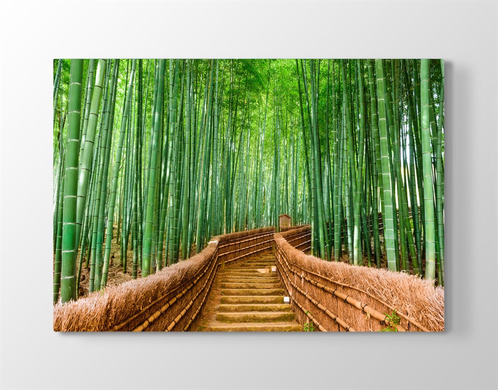 Bambu Ağaçlı Merdivenli Yol Manzaralı Kanvas Tablo