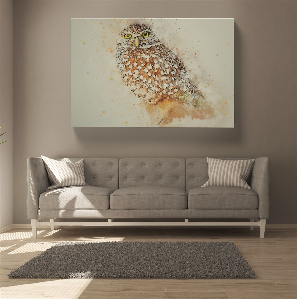 Baykuş Resimli Kanvas Tablo