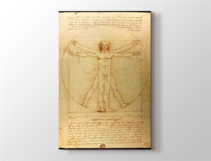 Da Vinci Vitruve Luc Viatour Vitruvius Adamı Kanvas Tablo