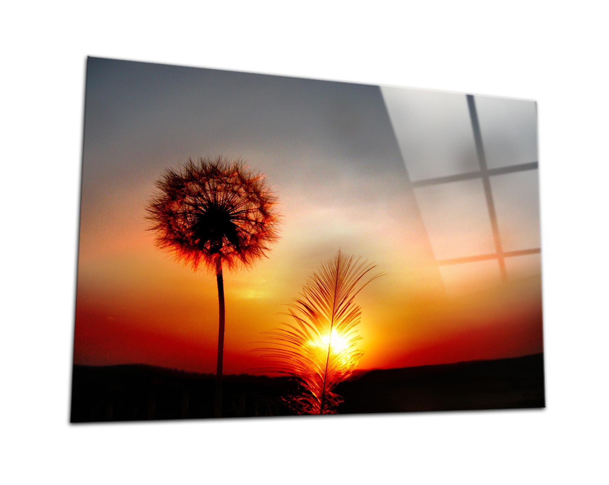 Dandelion Gün Batımı Cam Tablo