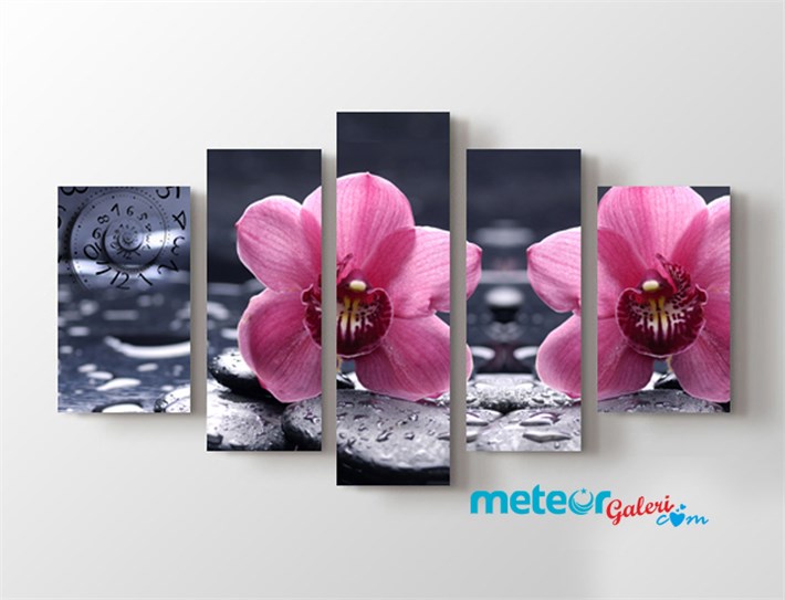 Taşlar Üzerinde Su Damlaları Pembe Çiçek