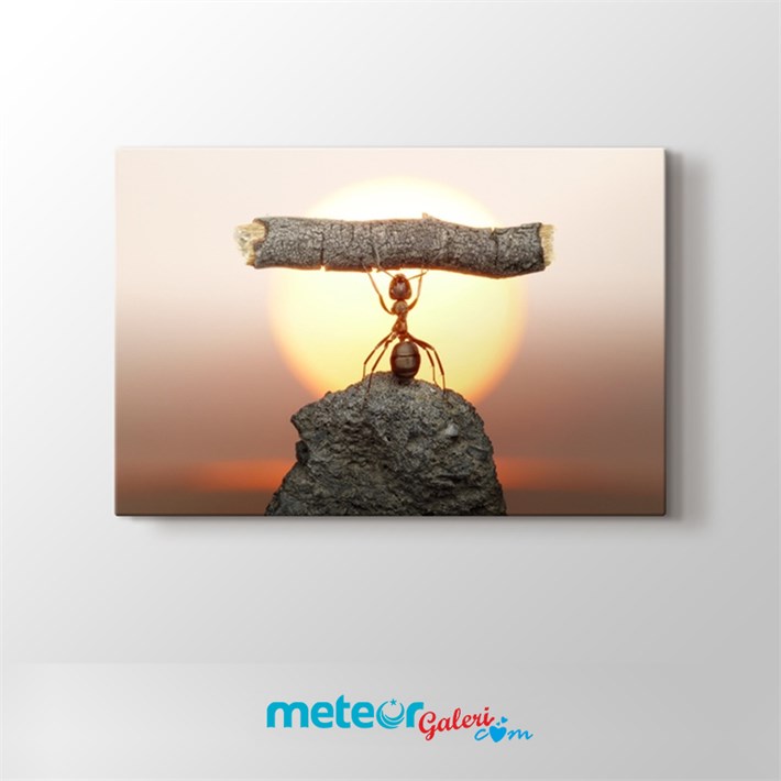 Güçlü Karınca Kanvas Tablo