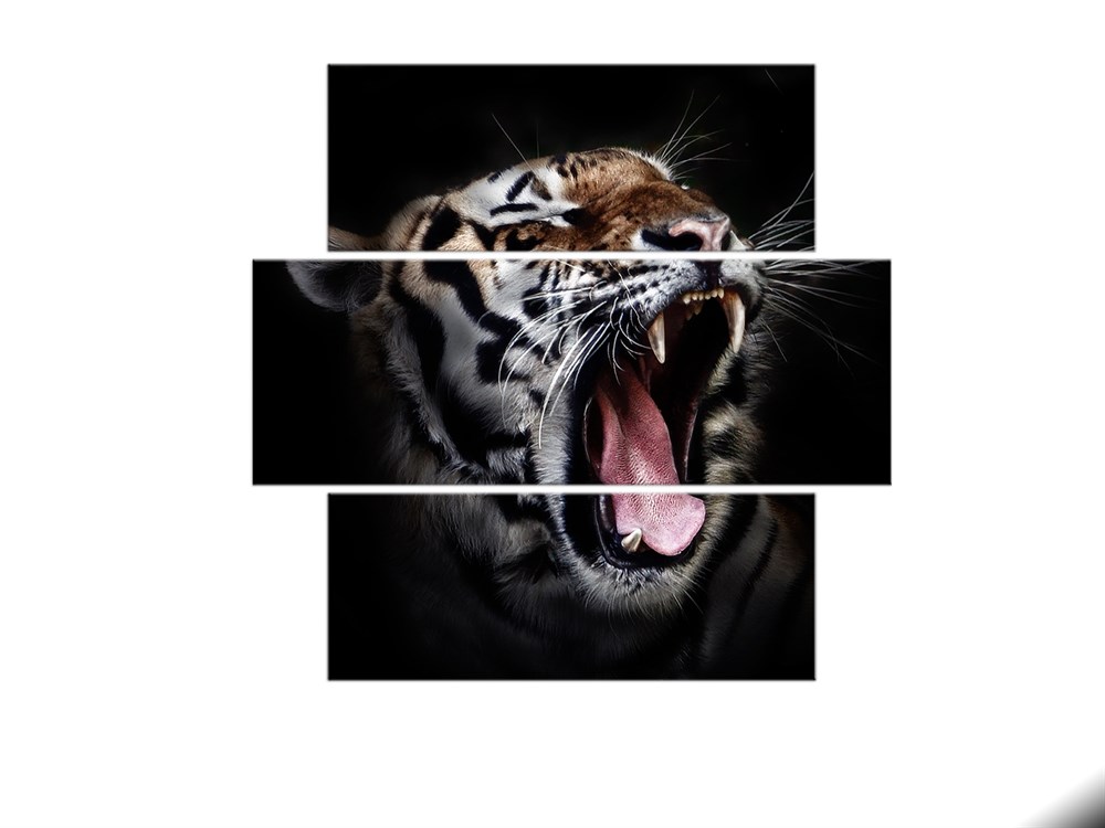 Kaplan Dekoratif 3 Parça Kanvas Tablo