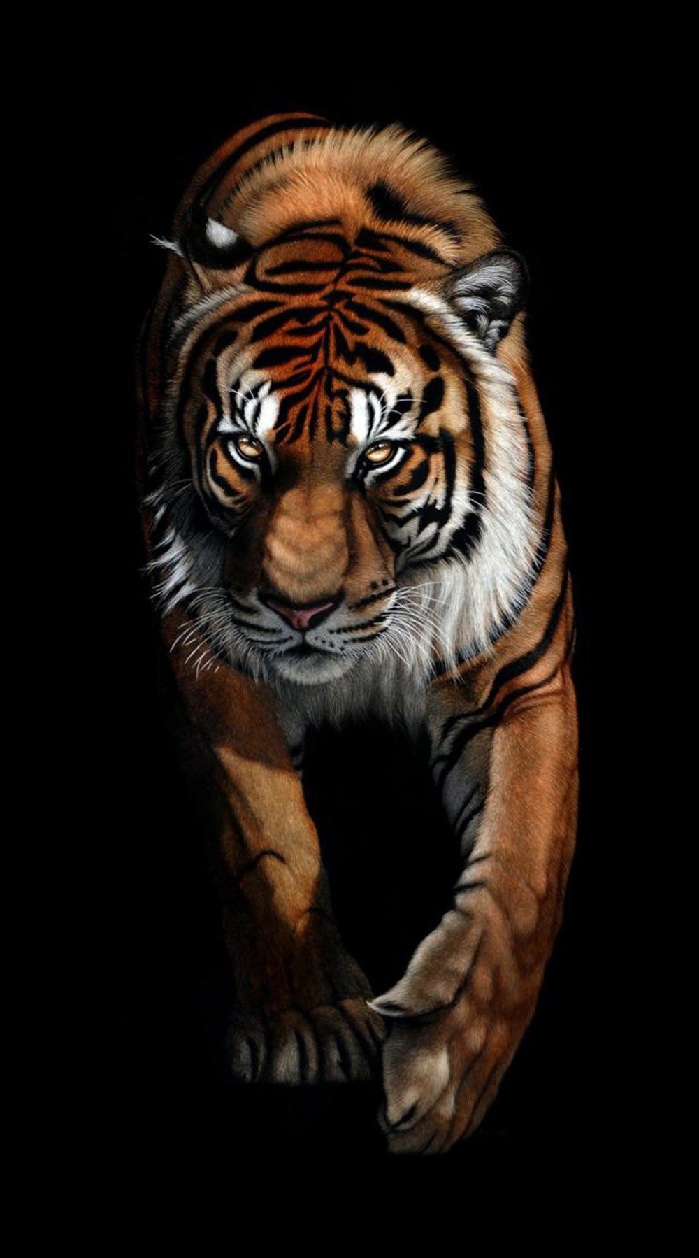 Kaplan Dekoratif Kanvas Tablosu