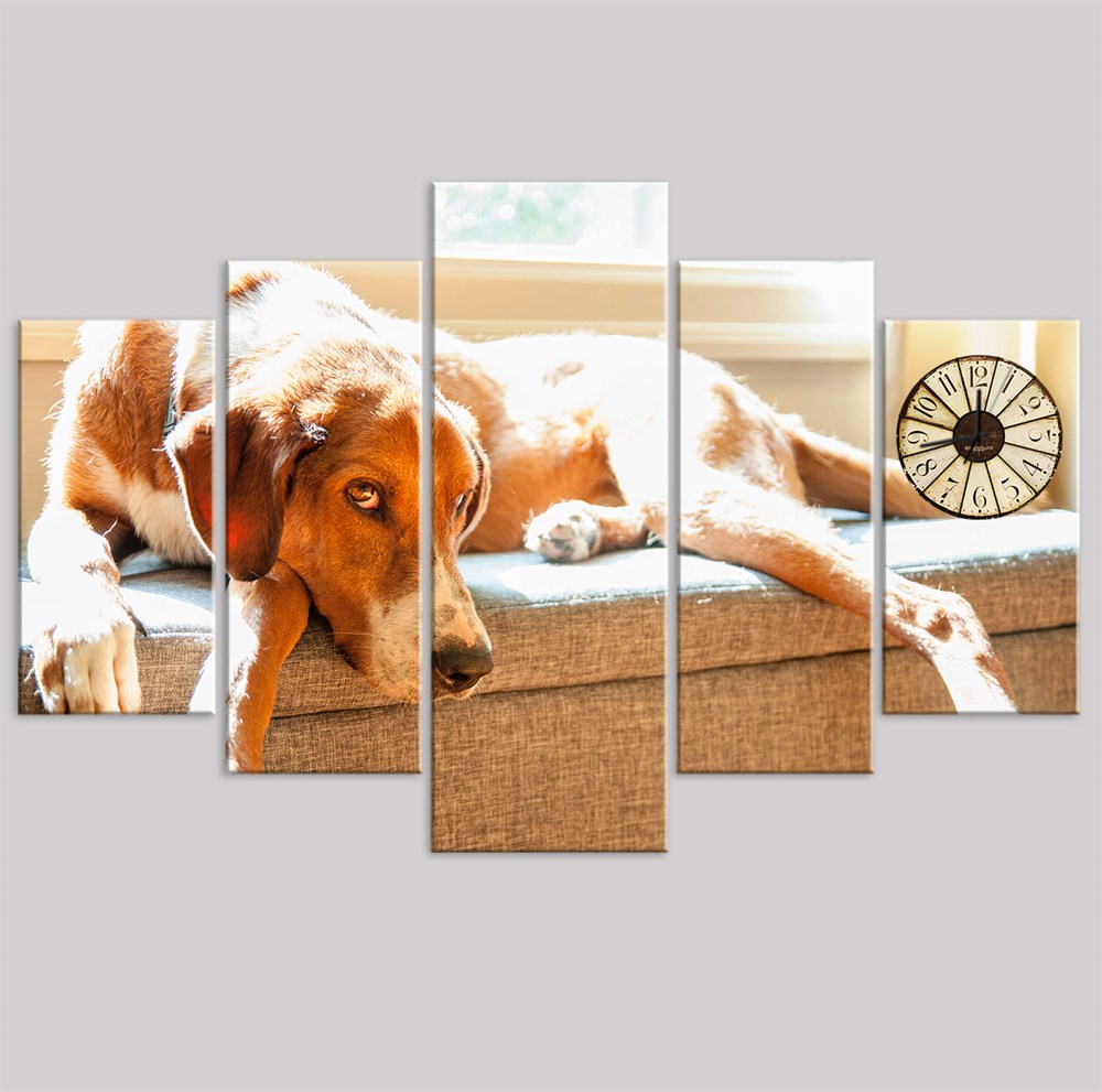 Köpekli Dekoratif 5 Parça Kanvas Tablo