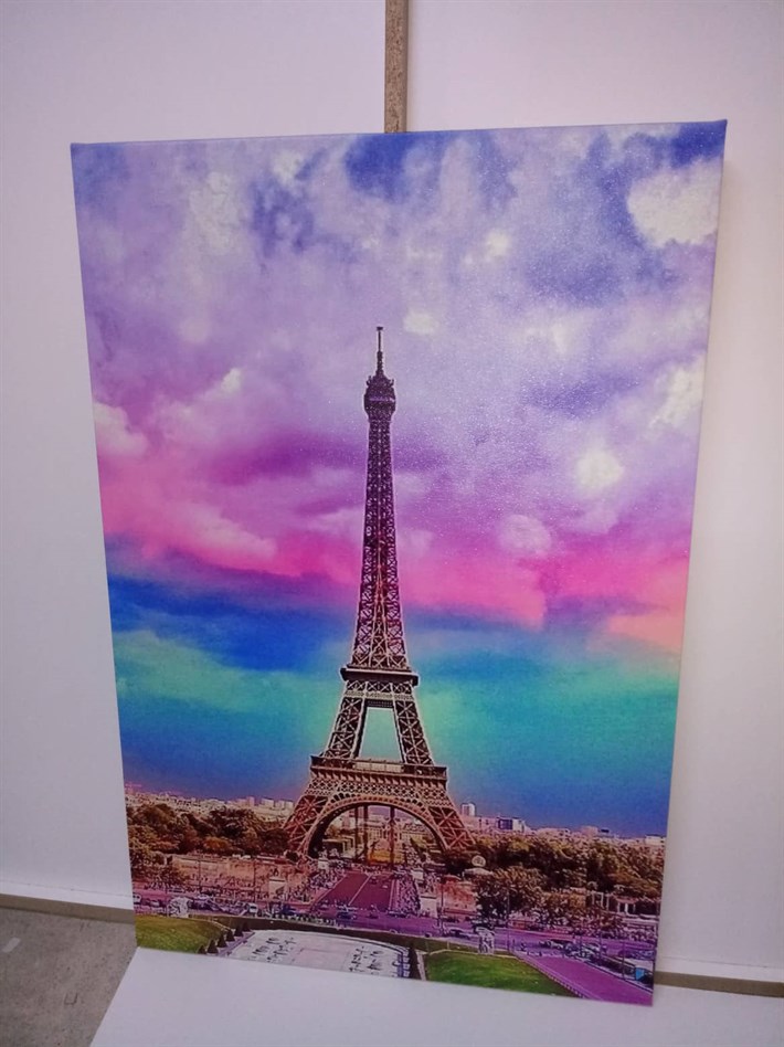 Pembe Renkli Paris Eyfel Kulesi Tek Parça Kanvas Tablo