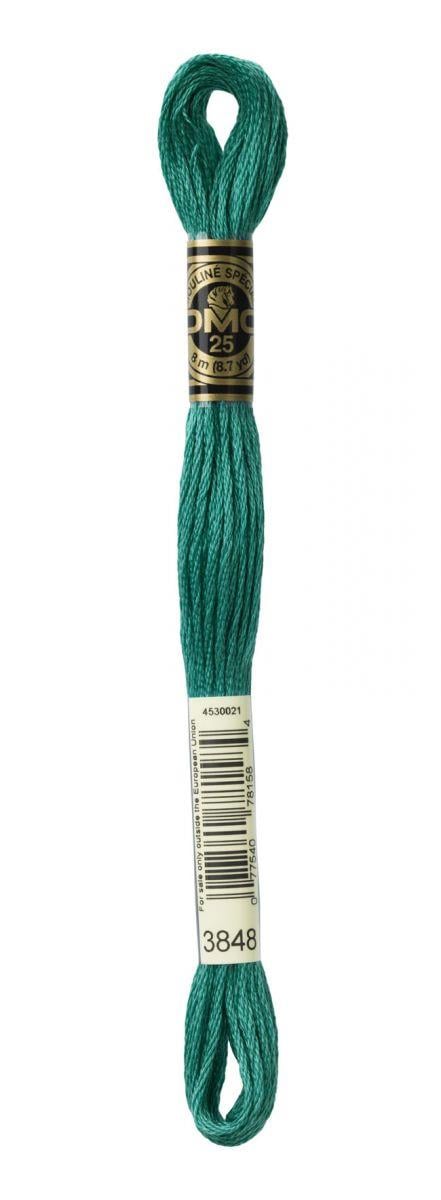 DMC Muline İp 3848 Yeşil 