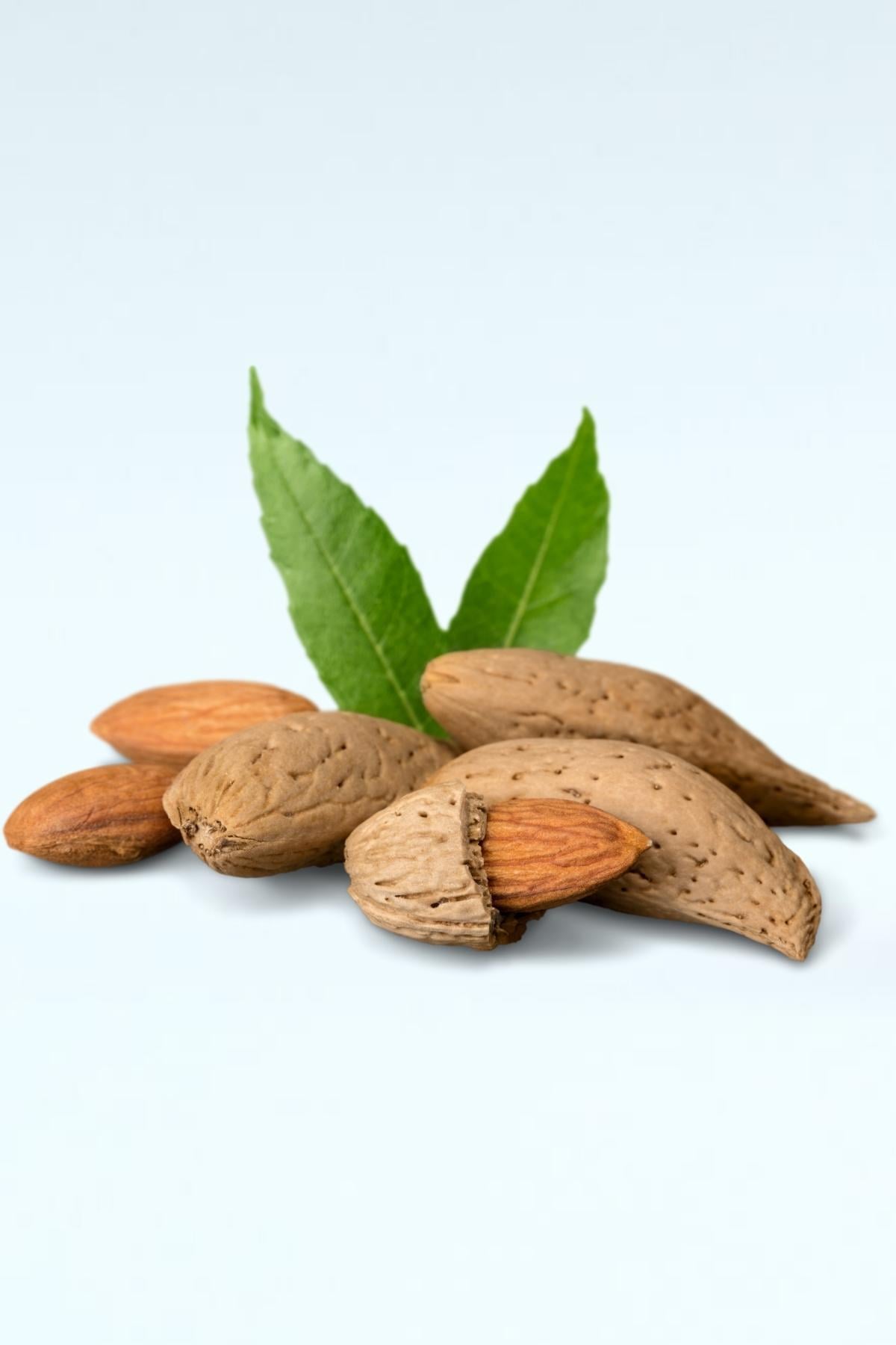Badem Kabuklu (500 GR)