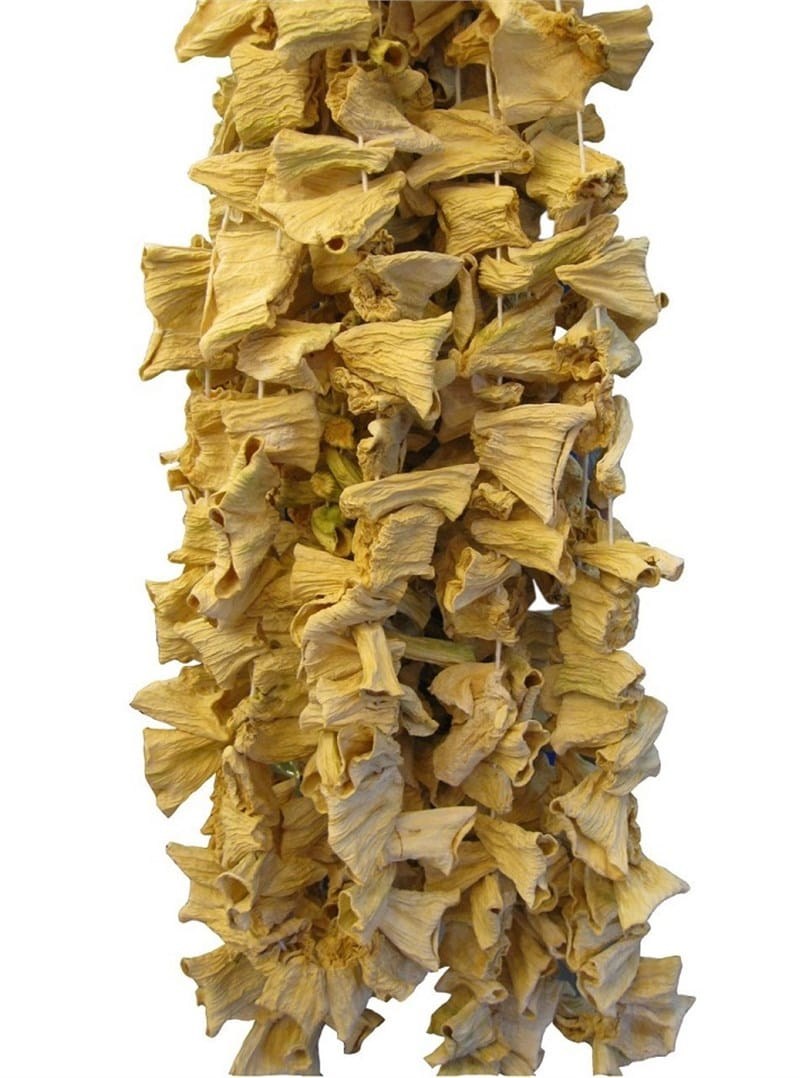 Kurutmalık Kabak (Haylan Kabağı)