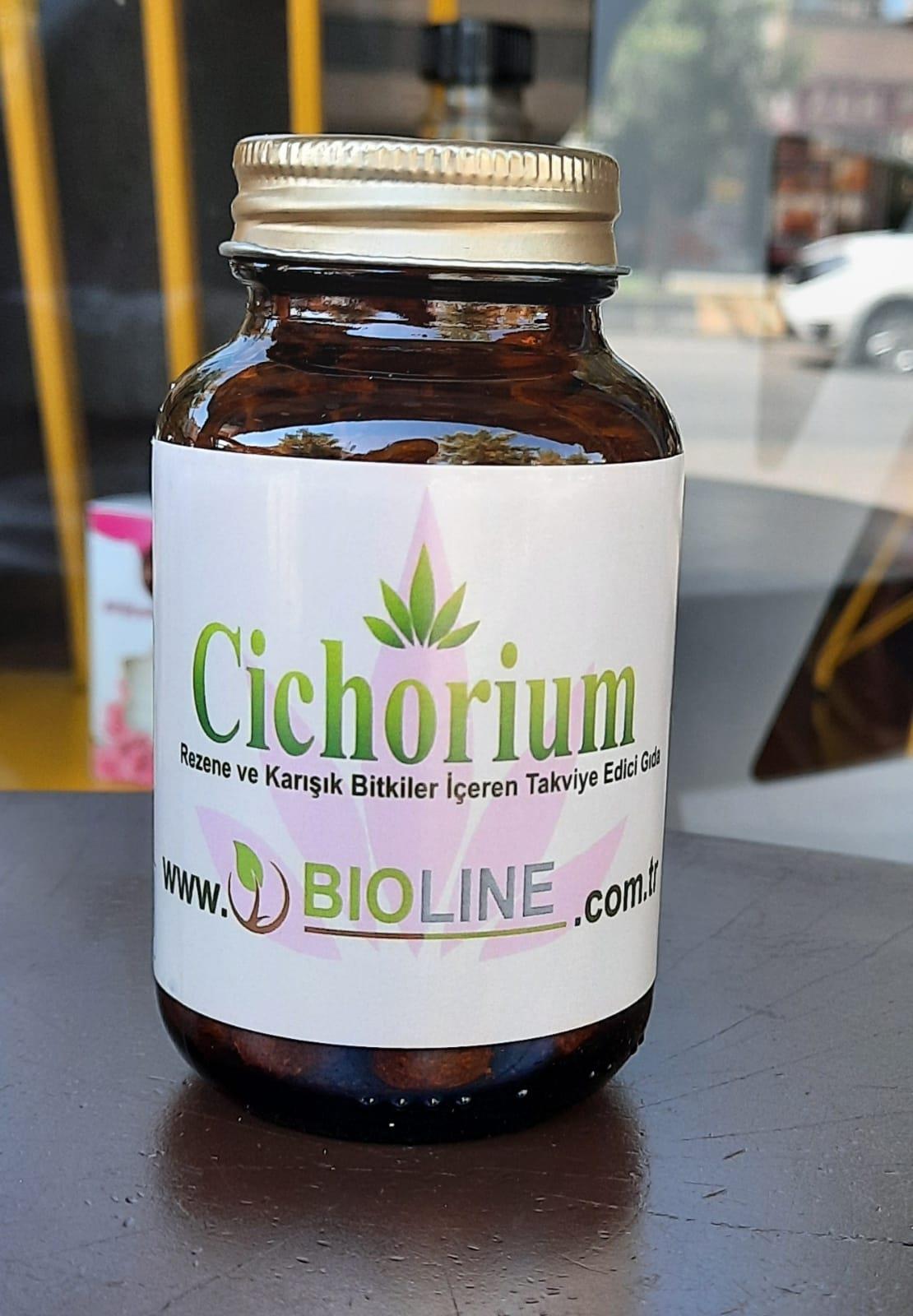 Cichorium