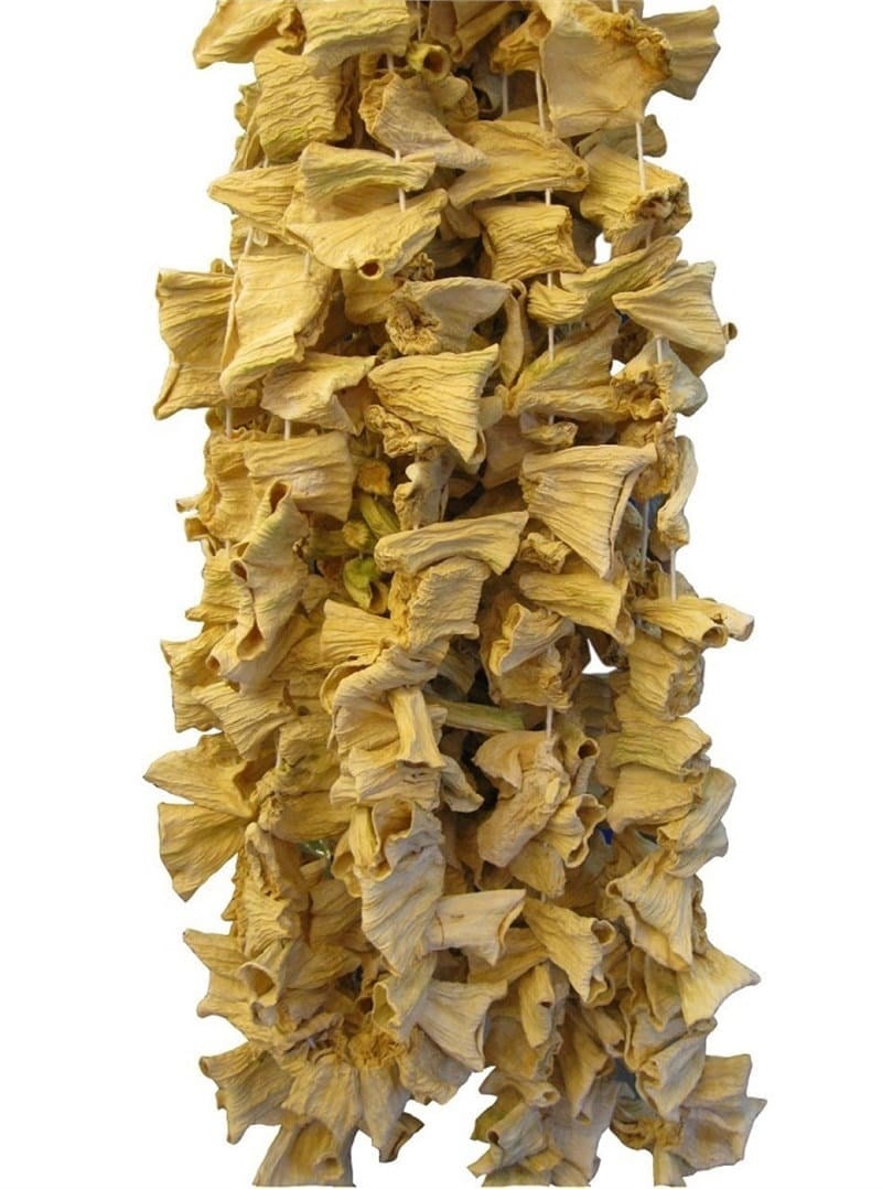 Kurutmalık Kabak (Haylan Kabağı)