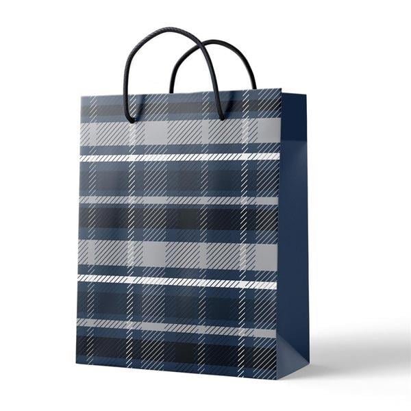 Cardboard Bag