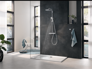 Grohe Rainshower Tepe Duşu 31 cm - 26561000