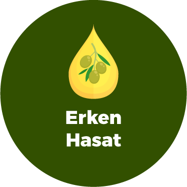Icon 5