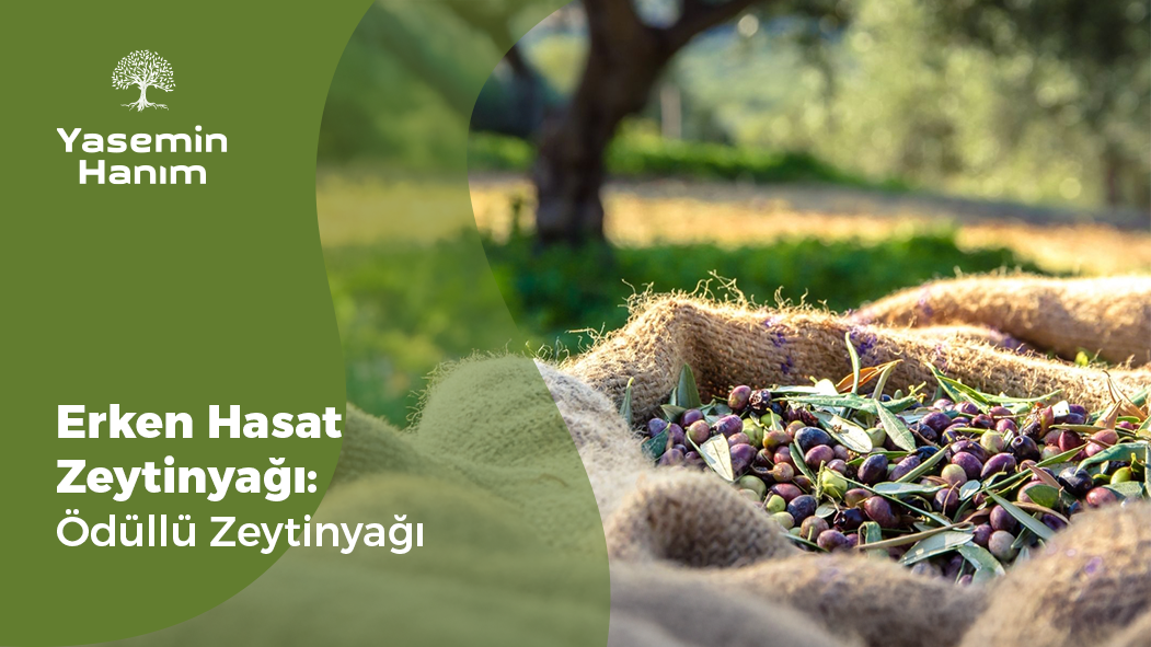 Erken Hasat Soğuk Sıkım Zeytinyağı