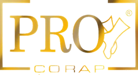 Pro Çorap Logo
