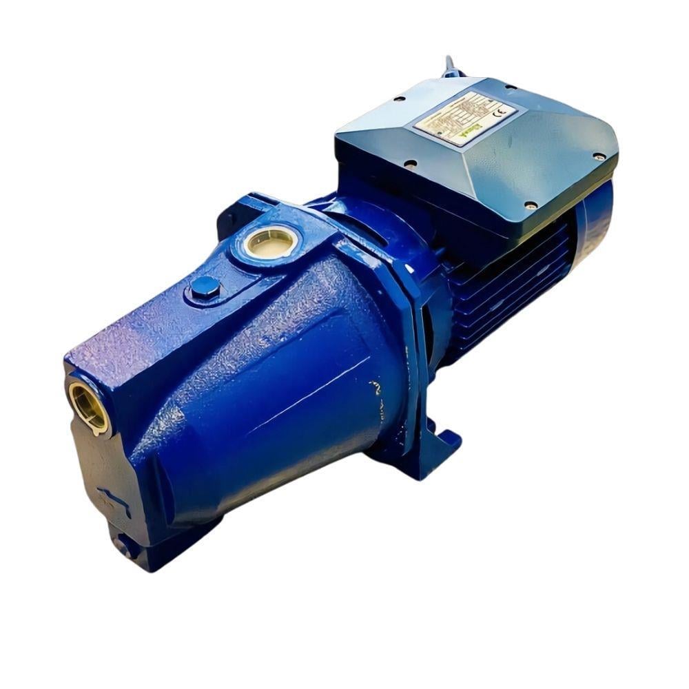 Amega JTM 100 1 HP Emişli JET Pompa Krom Milli