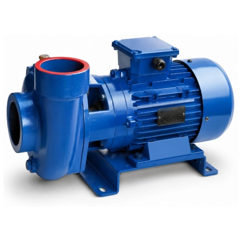 İMPO STPD 3-3 Santrifüj Pompa 3 kW 28 HP