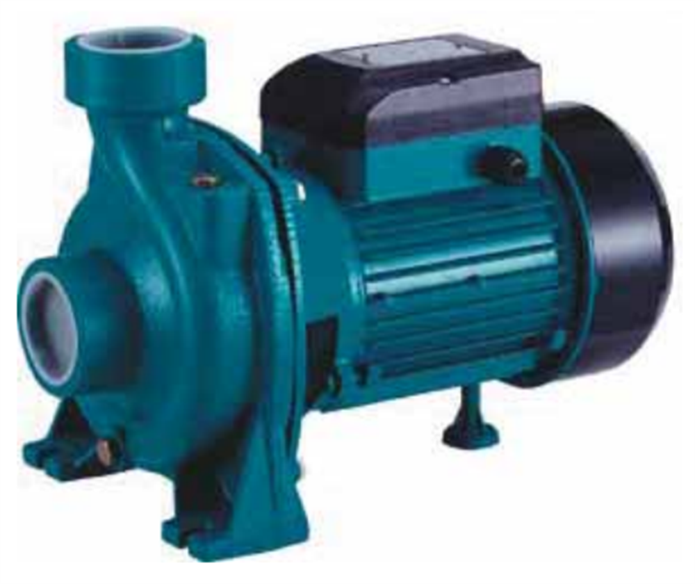 Momentum PHM/5BM Tek Fanlı Santrifüj Pompa