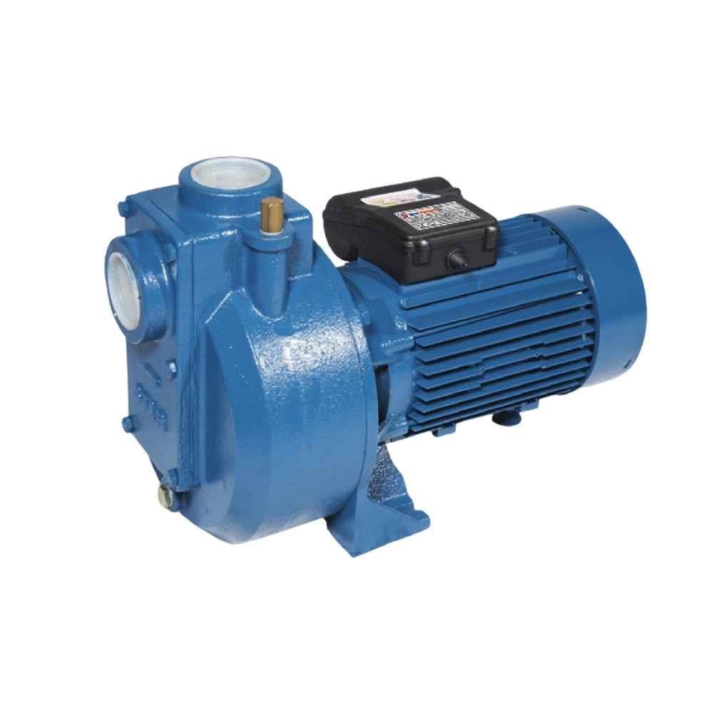 Star Pompa SPD Serisi Kendinden Klapeli Pompa 220V
