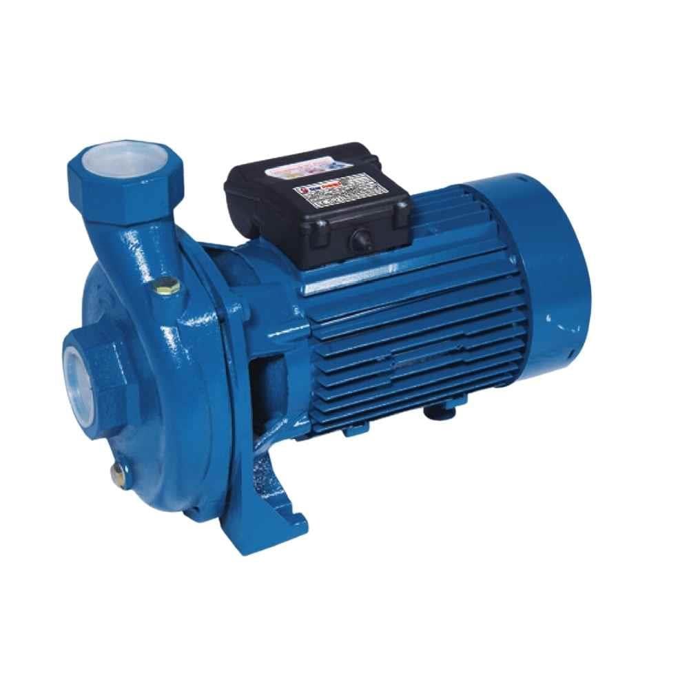 Star Pompa SPS 150/2-200/2-250/2 Tek Kademeli Santrifüj Pompa 220V