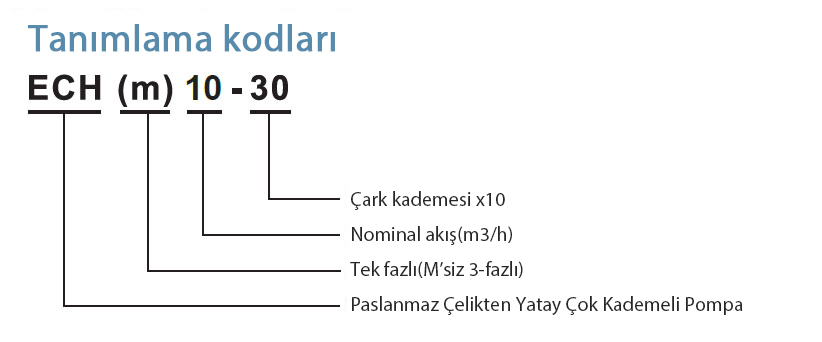 ech10 tanımlama kodları