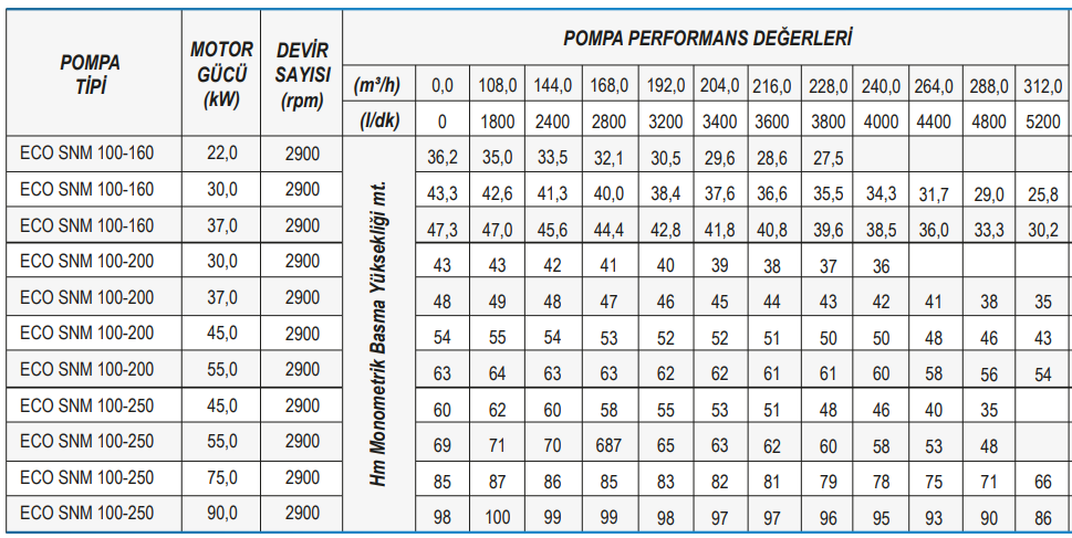 Standart Pompa ECO SNM 100 Serisi Monoblok Santrifüj Pompa Tablo