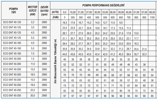 Standar Pompa ECO SNT Serisi 2900 rpm Tek Fanlı Santrifüj Pompa