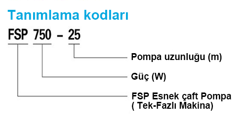 fsp tanımlama kodları