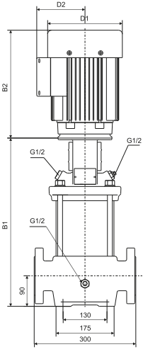 Power Momentum HVS15-5 Dik Milli Paslanmaz Pompa Bilgi 1 